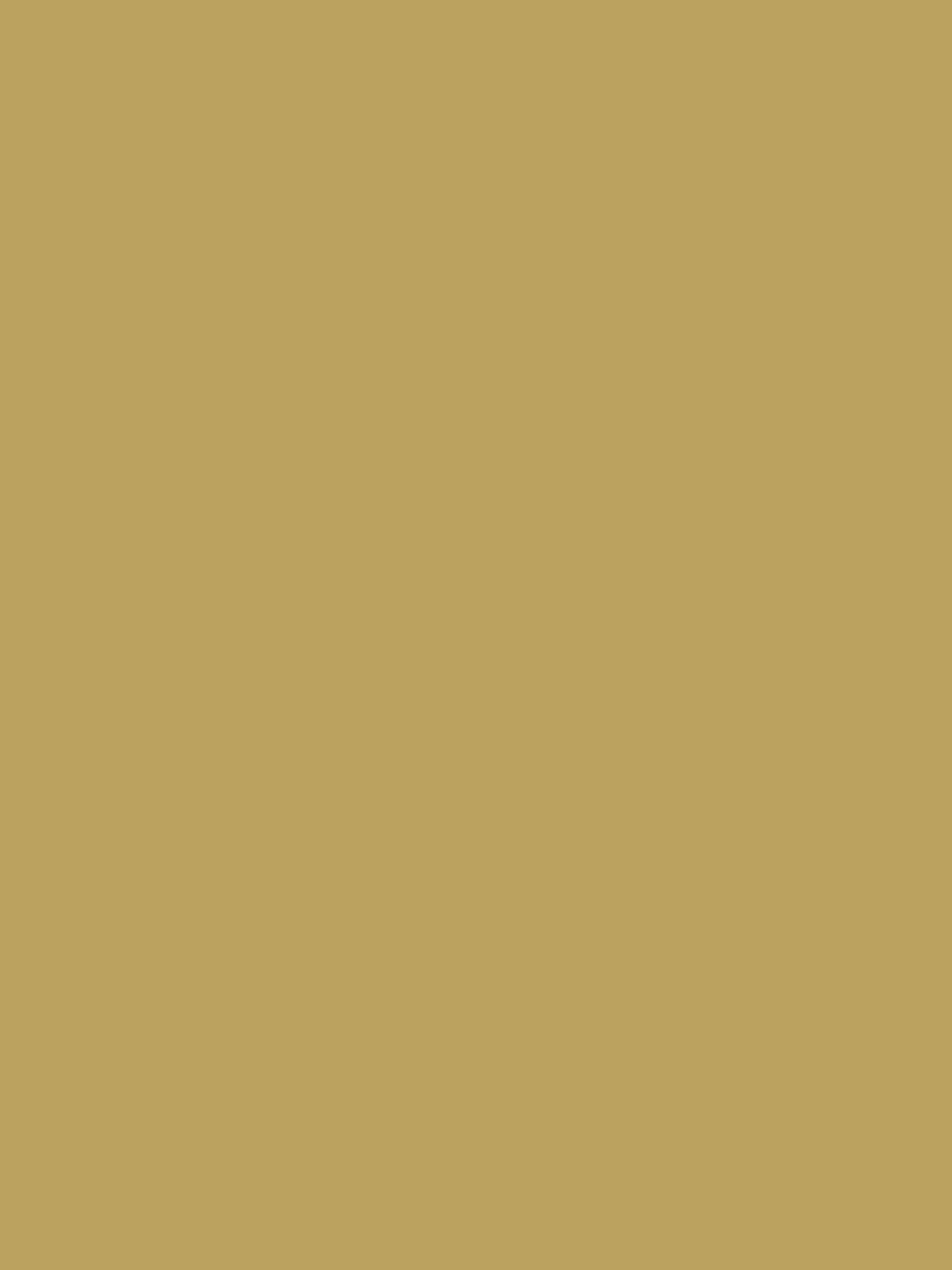 Twitcher Natural Multi Surface Matt Emulsion^Joules Cheap